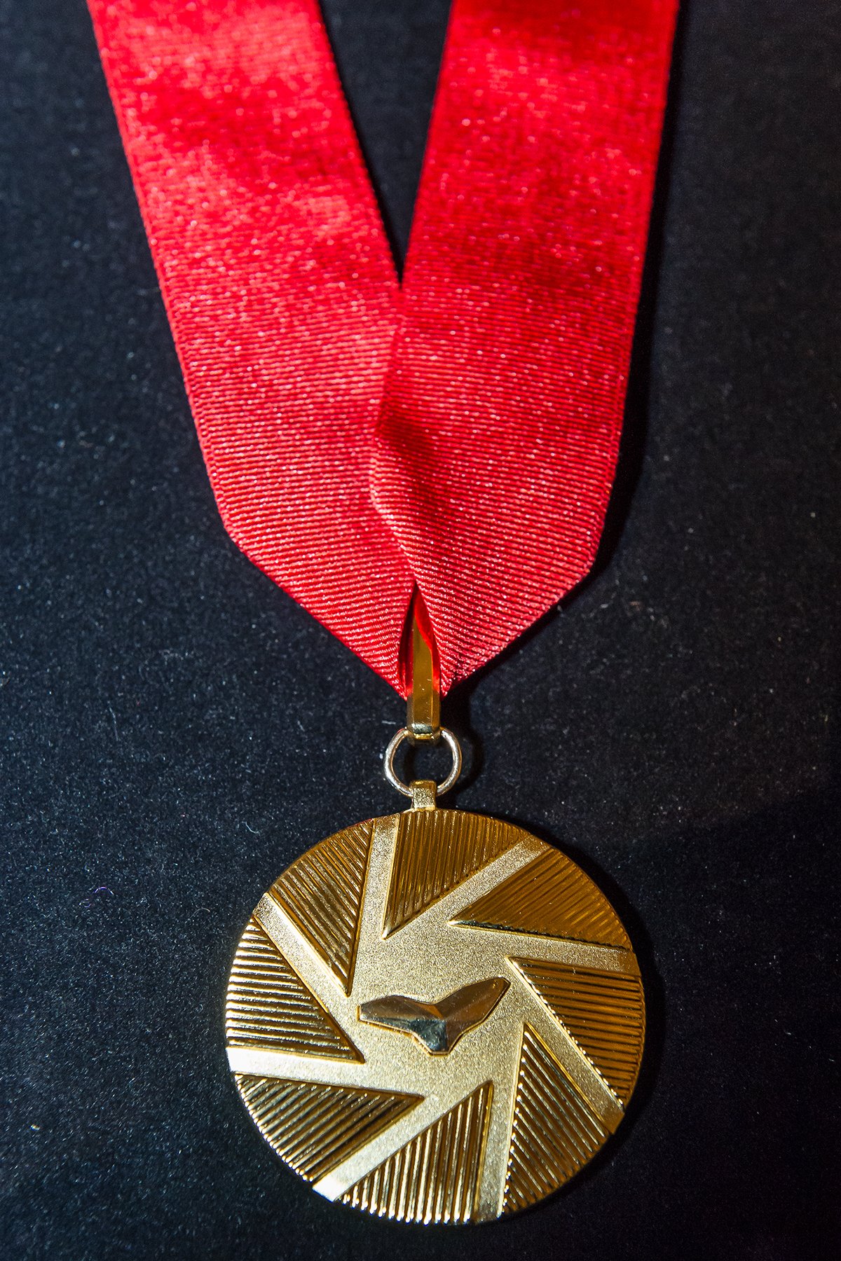 Prototype - medal