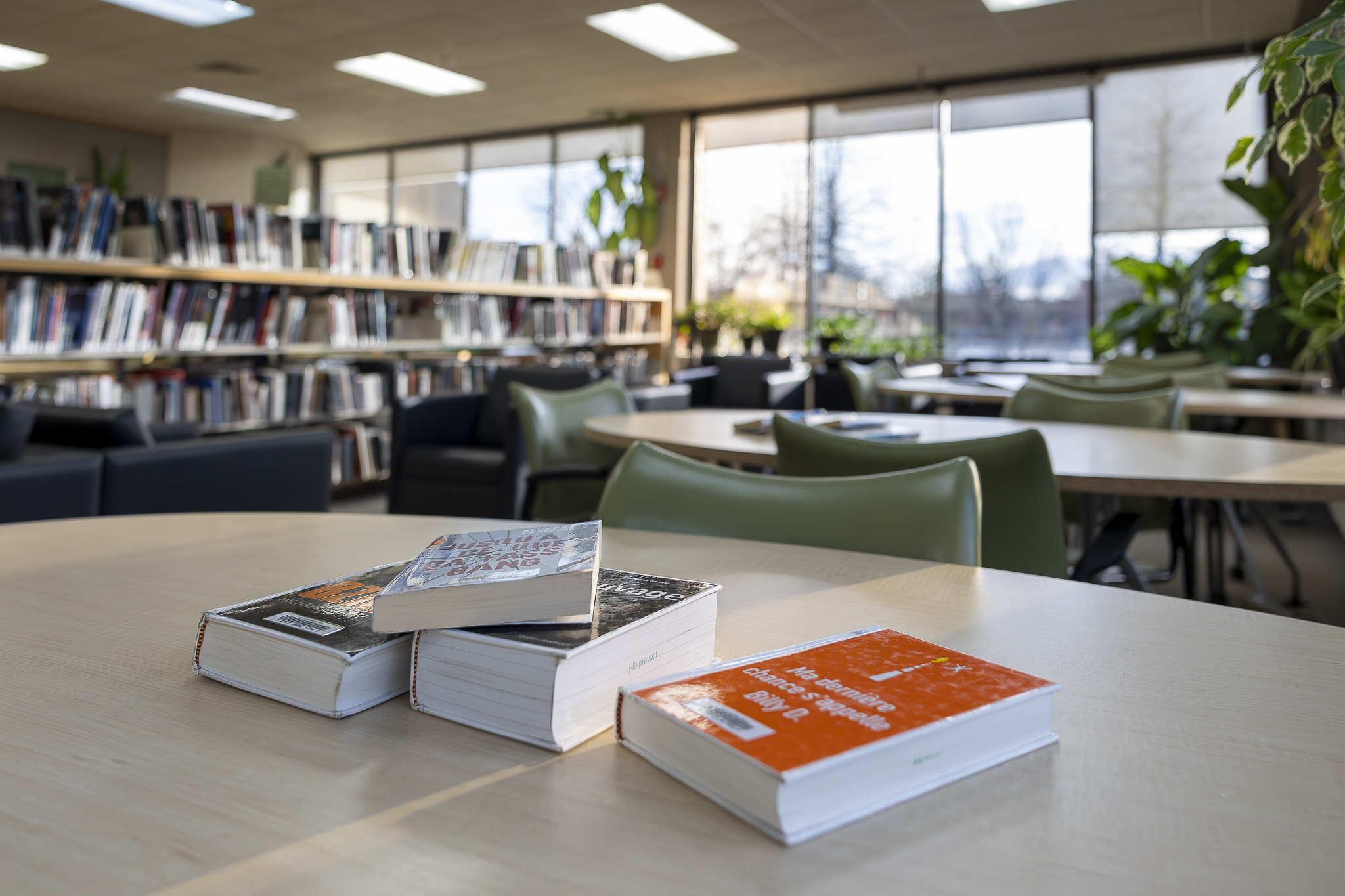 Concours d'architecture pluridisciplinaire - Bibliothèque Villeray du quartier Villeray
