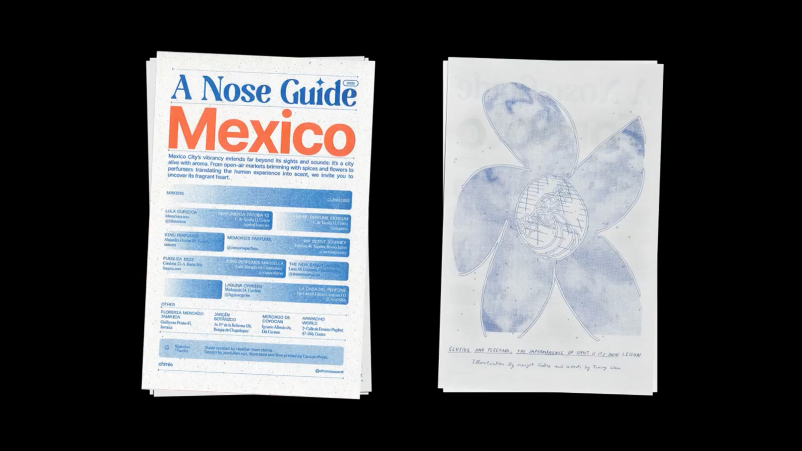 A Nose Guide Mexico