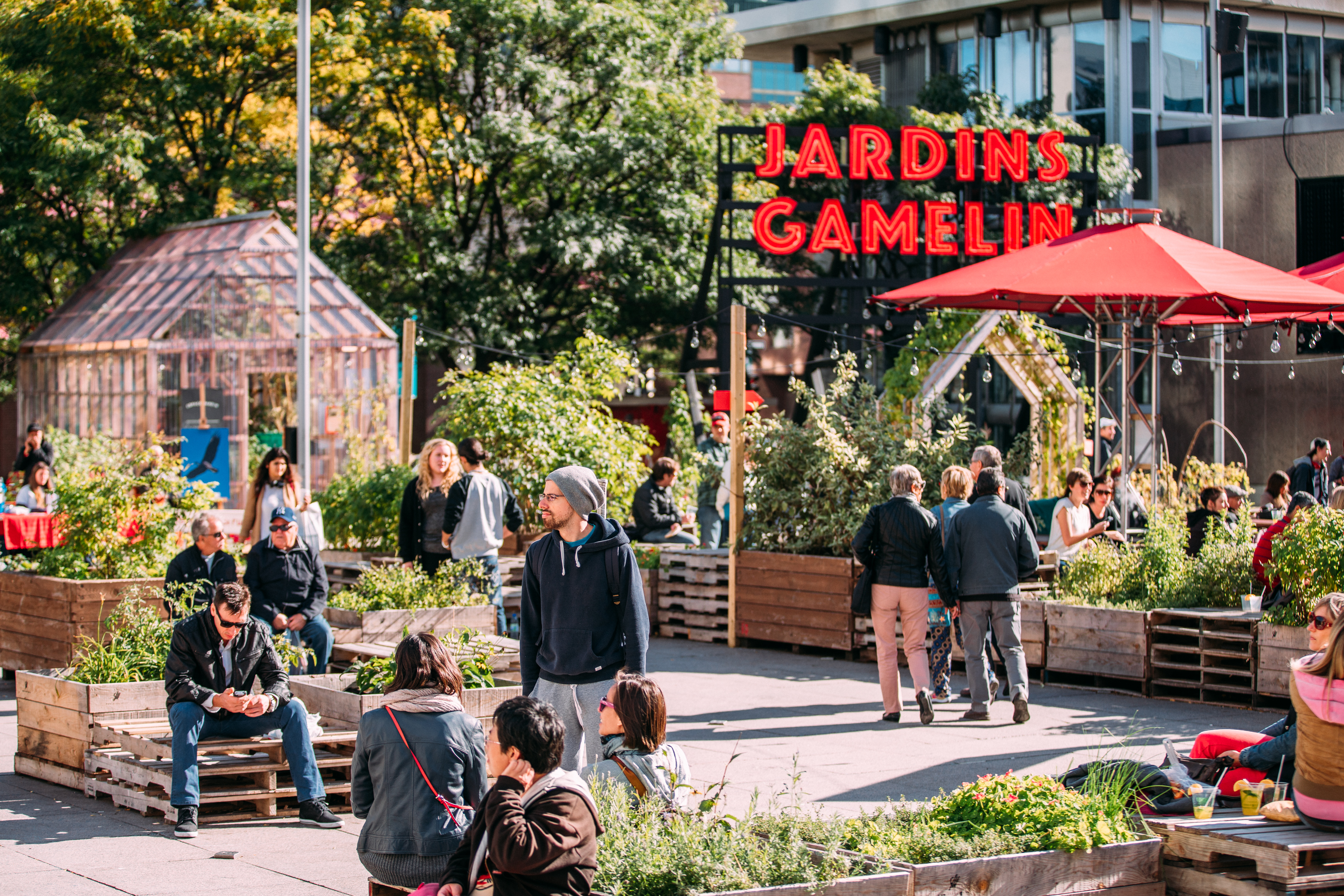 Jardins Gamelin, Montréal, 2015