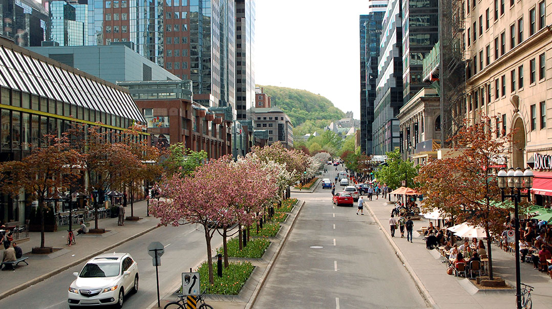 Avenue McGill College