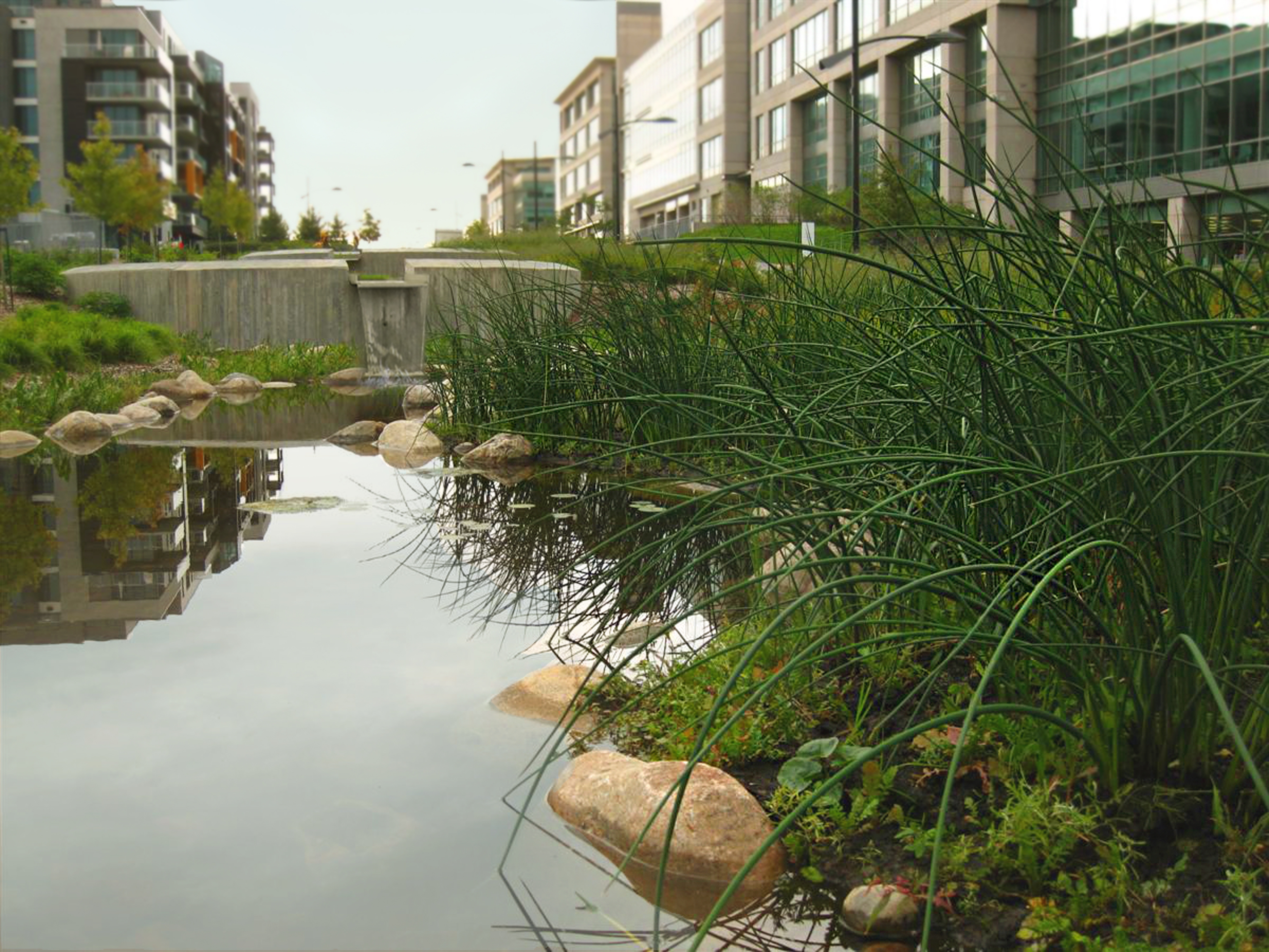 Parc Gewurz-Remer, Montréal, 2013