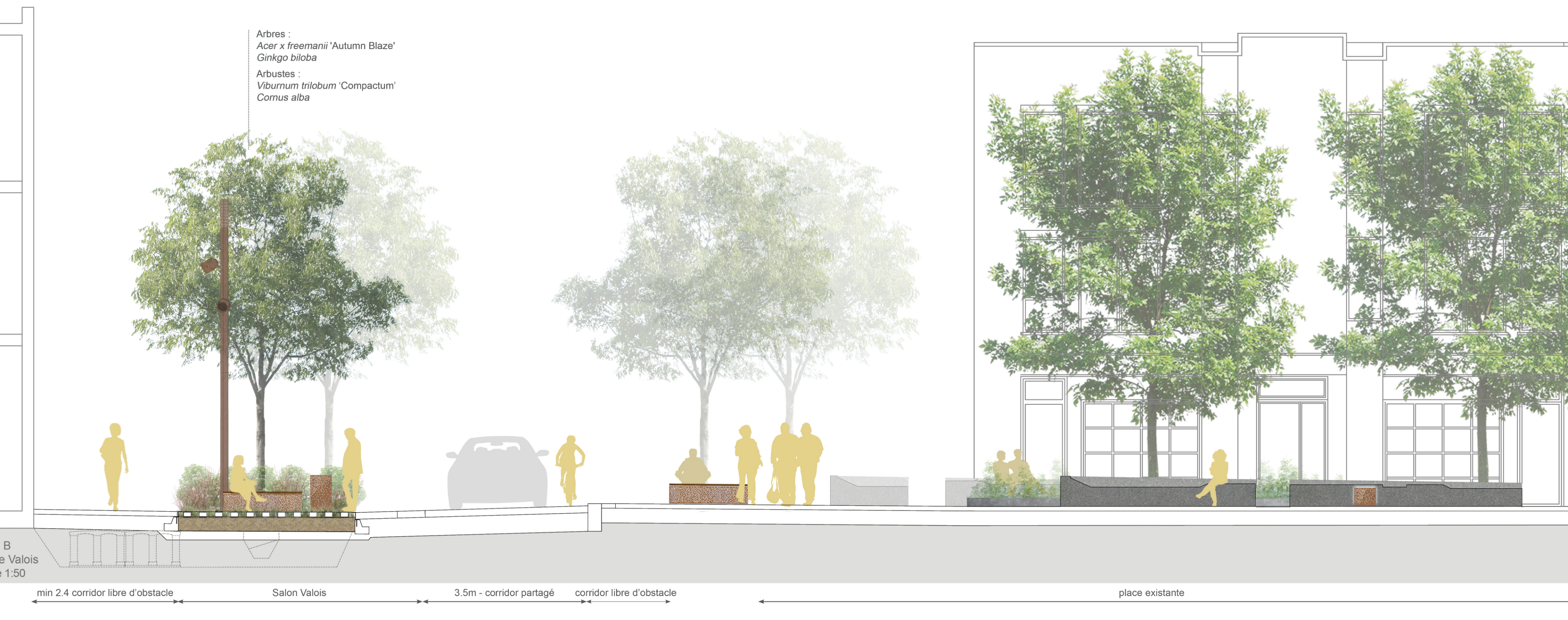 Cross section of Avenue Valois