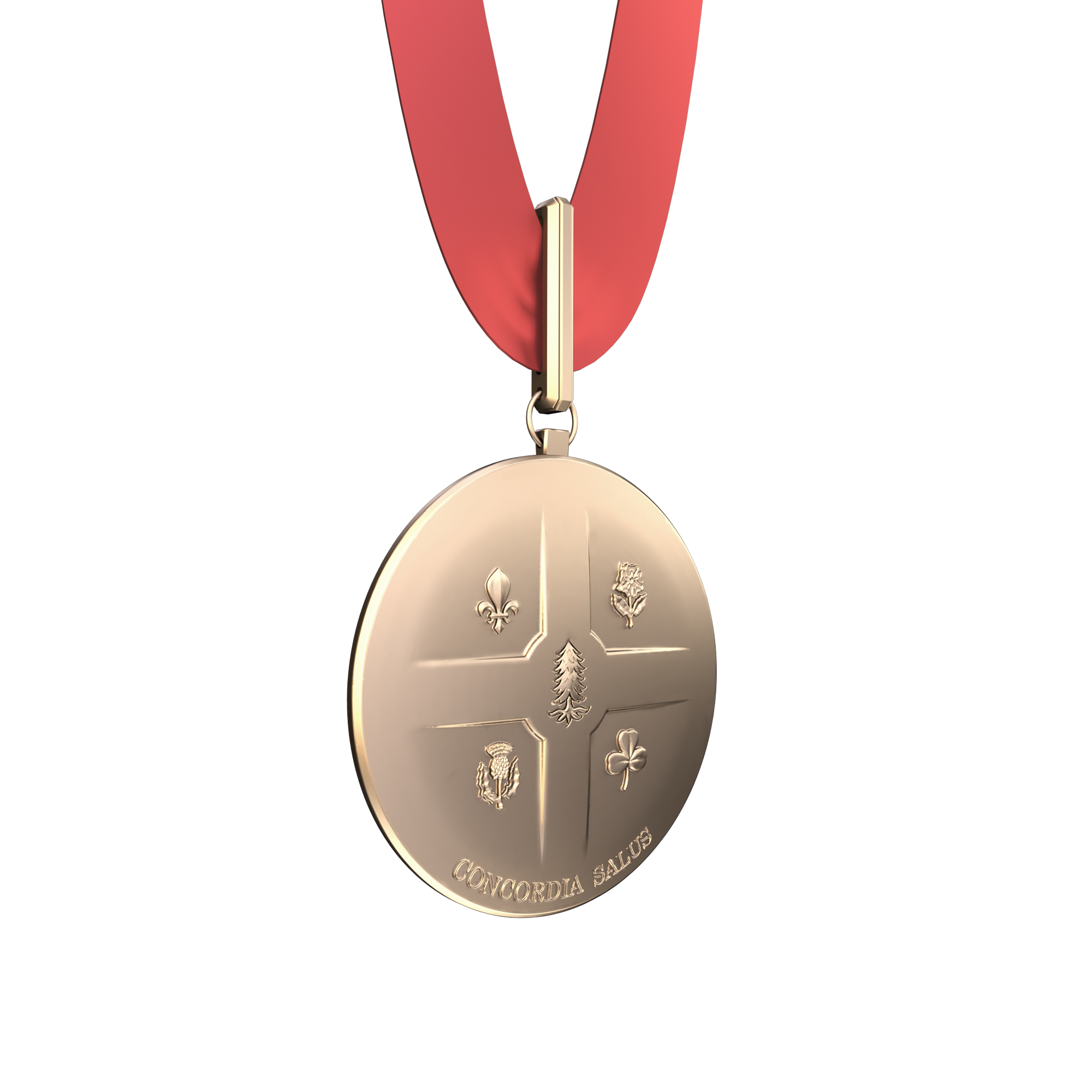 Reverse side of the Medal (2018)