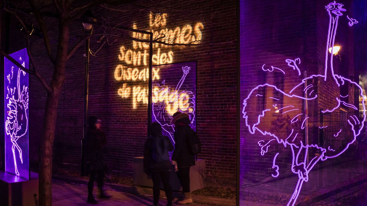 Charlotte project : Les hommes sont des oiseaux de passage