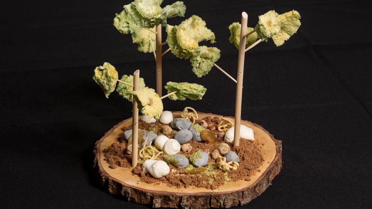 The UPA forest platter, Montreal, 2015 The UPA forest platter, Montreal, 2015
