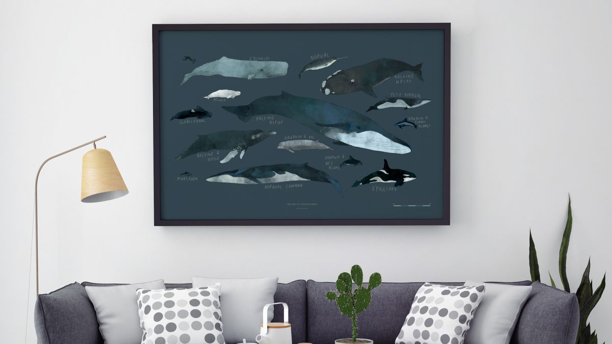 Saint Lawrence River Whales, Montréal, 2016 Saint Lawrence River Whales, Montréal, 2016
