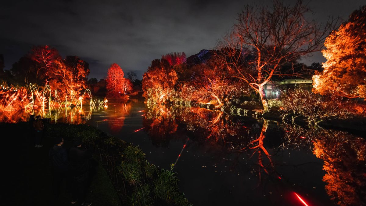 Light Cycles, Adelaide, 2021