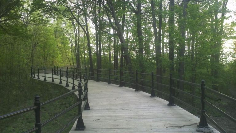 Chemin de ceinture du Mont-Royal