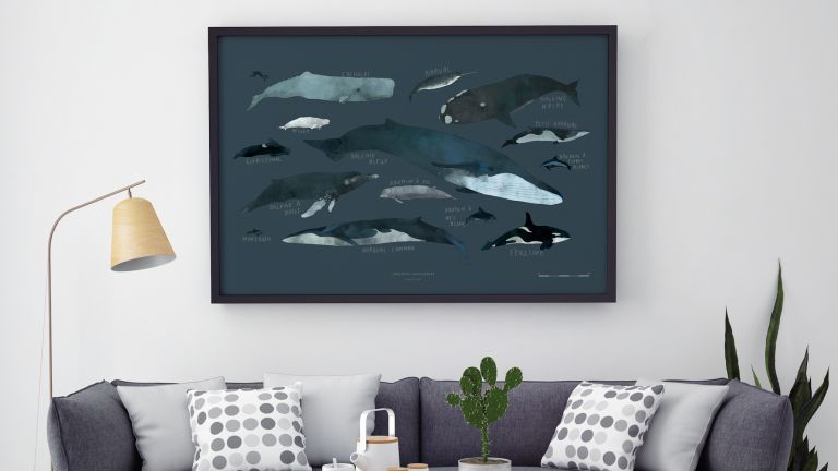 Saint Lawrence River Whales, Montréal, 2016