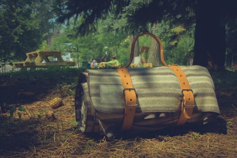 Picnic blanket, Montreal, 2015