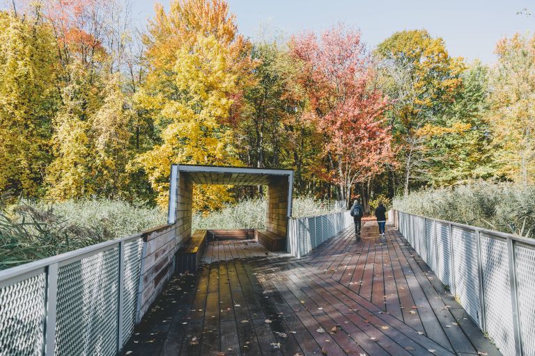 Parc-Nature de la Pointe-aux-Prairies, Montréal, 2019