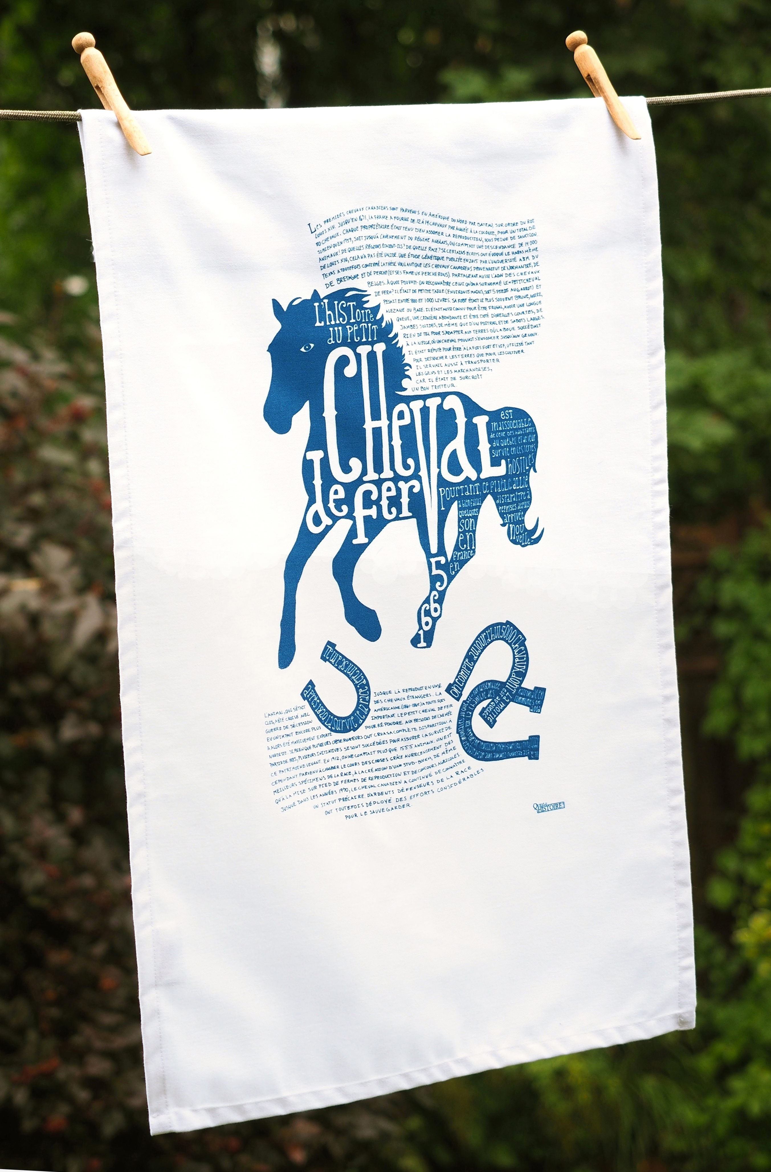 Canadian horse dish towel, Montreal, 2015