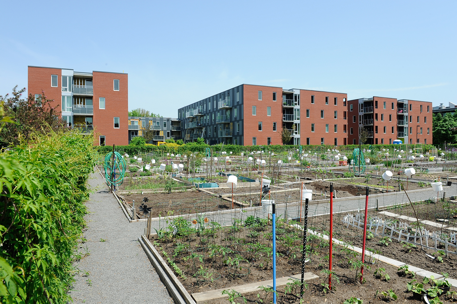 Benny Farm, Montréal, 2006