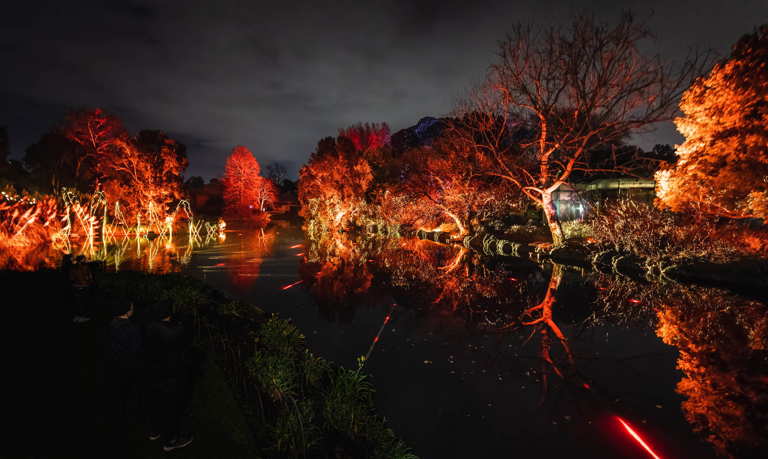 Light Cycles, Adelaide, 2021