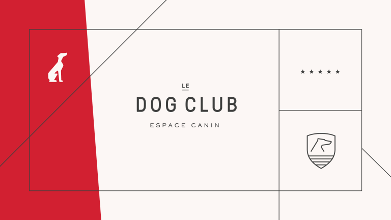 Dog Club, Montréal, 2017