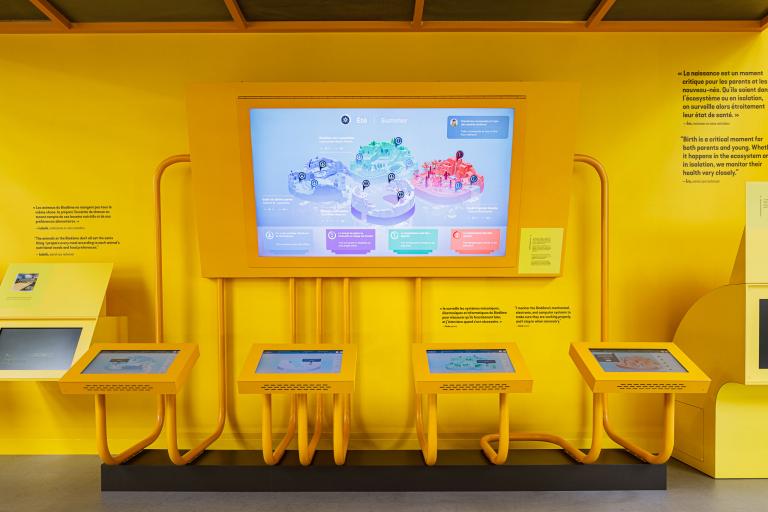Biodôme, installation interactive, Montréal, 2020