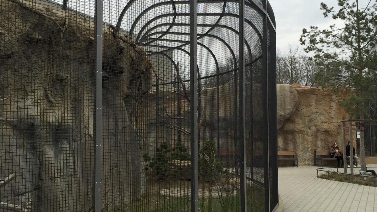 Cages, Zoologischer Garten Berlin