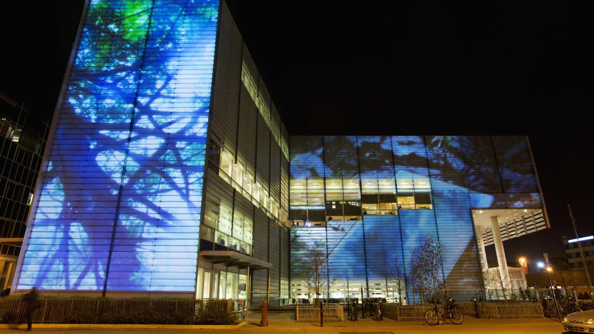 Create Winter at Quartier des Spectacles – Video Projections