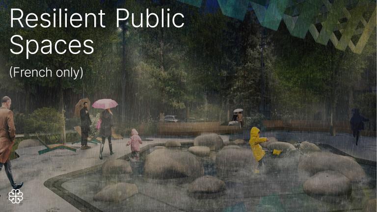 Resilient Public Spaces Toolkit - cover
