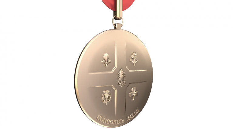 Reverse side of the Medal (2018)